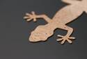 Green Label: Gecko aus Kork | © RATHGEBER GmbH & Co. KG
